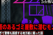 【2ch怖いスレ】鉄塔のあるゴミ屋敷に潜むモノ。謎過ぎて警察も困惑する地方紙に載った話【ゆっくり解説】