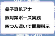 桑子真帆アナ　熊対策ポーズ実践！四つん這いで開脚指示GIF