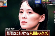 【画像】北朝鮮の妹が人気すぎてワロタ