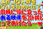 【2chスカッと】私をいびってたﾄﾒが性懲りもなくコウト嫁をいびりだしたので『とある映像』をコウト嫁と大ウトメに送ったｗせいぜい説教されてこい！【2ch面白スレ】