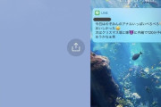 【画像】夫さん、風〇嬢への変態LINEを嫁に誤爆して大焦りｗｗｗｗｗｗ