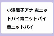 小澤陽子アナ 赤ニットパイ青ニットパイ黄ニットパイ！ミス慶應のスタイル抜群三十路ボディ