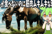 草食動物って草しか食ってないのに筋肉ムキムキなのなんで？