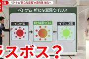 ベトナムで新たな変異ウイルス  影響と対策は？(2021年5月31日放送「news zero」より)