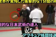 世界最強の格闘技って合気道だよなwww