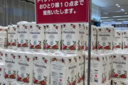 【画像】トイレットペーパー滅茶苦茶あるじゃん