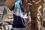 【動画】中国人さん、超巨大な海老を料理