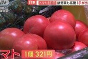 【悲報】トマトの値段、限界突破。