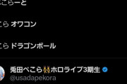 【悲報】兎田ぺこらさんオワコン化が深刻になっていた……