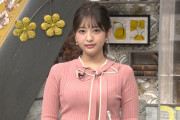 【画像】フジテレビの藤本万梨乃アナ、おっぱいすごすぎワロタ