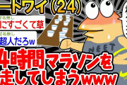 【バカ】「よし、ワイも24時間走るンゴw」→結果wwww【2ch面白いスレ】