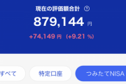 【悲報】散々ステマされた"つみたてNISA"さん全世界株価崩壊確定で無事逝く……