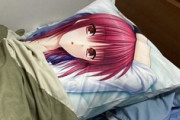 【悲報】エアコン業者、抱き枕を人と勘違いしてしまうwwwwwww