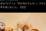 【悲報】大人気アニメ「PUIPUIモルカー」の声優さん、亡くなる