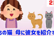 【2ch面白いスレ】うちの猫 母に彼女を紹介する