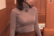 野嶋紗己子アナ、爆乳ニットおっぱいがデカすぎて浮き出てる