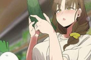 【いいきゅうりの日】キュウリを突っ込んでオナる女子達の二次エロ画像