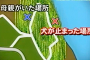 【未解決事件】坂出タケノコ掘り女児行方不明事件が怖すぎる 😱