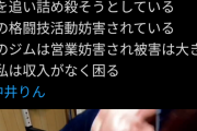 【悲報】格闘家中井りん「長年続く誹謗中傷に〇されそうです」(とてつもない肉体の動画)
