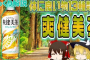 【朗報】爽健美茶最強説あるぞこれｗｗｗｗｗｗｗｗｗｗｗｗｗｗｗｗｗｗｗｗｗｗｗｗｗｗｗ