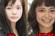 整形前の多部未華子VS整形後の多部未華子ｗｗｗｗｗｗｗｗｗｗｗ