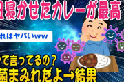 【2ch知識スレ】【悲報】1日寝かせたカレー美味いよな？雑菌まみれだよ→結果ww【ゆっくり解説】