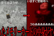 【衝撃】落ちてる携帯を拾っただけなのに…「拾ったメモリーカードの中身がヤバい」ネットを震撼させた恐怖体験がツッコミどころ満載だった#19【ツッコミ】【なろ屋】【2ch最恐スレ】