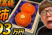 【悲報】HIKAKINさん、100万円の「柿」を購入