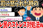 【2ch面白いスレ】上司「はぁー使えねえなお前」ワイ「すみません（でも俺には可愛い彼女がいるから）」→スレ民のストレス対処法が凄いｗｗｗ