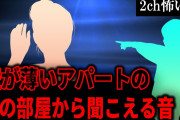 【2ch怖いスレ】壁が薄いアパートの隣の部屋から聞こえる音【ゆっくり解説】