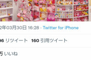 【画像】Twitterのカービィ好き、ヤバい部屋を晒してしまう??