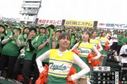 ◆健全なパンチラのチアガールさん、甲子園で発見されるｗｗｗ