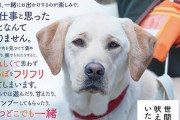 【画像】犬の言葉がわかる集団が犬の言いたいことを教えてくれている