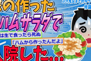 【2ch修羅場スレ】嫁の作った生ハムサラダを食べたら入院した…【ゆっくり解説】【面白い名作スレ】