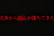 【実話】2chに投稿されたあまりにも怖すぎる話「変な天井」