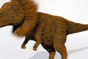【画像】最新のティラノサウルスの予想姿ｗｗｗｗｗｗｗｗｗｗｗｗｗｗｗｗｗｗｗｗｗｗｗｗｗ