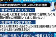 【悲報】痴漢センター代表の女性、ジャップオスにほとほと呆れる