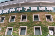【速報】センバツ高校野球 開催中止決定