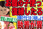 【2chキチスレ】他人の子を妊娠し元カレに復縁を迫る女がヤバい【伝説のスレ】