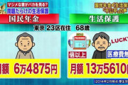 【悲報】国民年金、終わってた