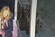 【動画】白人幼女さん、タヌキに襲われるｗｗｗｗｗ