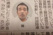 【悲報】猫ひろし、卑怯過ぎるとして陸上競技連盟がオリンピック資格剥奪　ただのカンボジア移住者に