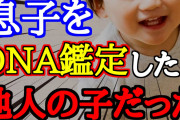 【2chキチガイスレ】最後までクズ…嫁に「DNA鑑定してもらう」と言うと、勝手に堕○する→これはクロ確定だと思ったので、追い詰めると…【ゆっくり解説】