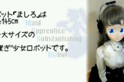 【画像】ジャップさん、ペッパーくんを魔改造して美少女ロボットに作り変えてしまう