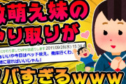 【2ch面白スレ】妹とのやり取りを淡々と書いていくスレ＆俺の姉ちゃんが天然というか普通にアホなんだが【二本立て】【ゆっくり解説】