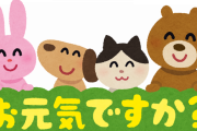 【悲報】どうぶつの森の住民「ワイさん、180ヶ月も会ってないけど今何してるのかな…」
