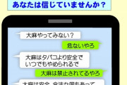 【悲報】なんJ民、大麻の情報に騙される