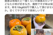 【画像】女子、ミニスカで簡単に売り切るｗｗｗｗｗｗｗｗｗｗｗｗ
