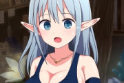 同人ｴﾛRPG「主人公は女の子です！騙されて冒されます！性的暴行されます！徐々に価値観が狂ってドスケベ化します！」←これ