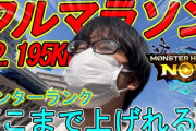 【朗報】モンハンNOWで1ヶ月ウォーキング続けた結果ｗｗｗｗｗｗ